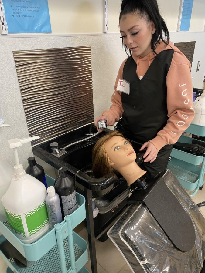 Cosmetology Classes offer Hands-On Learning