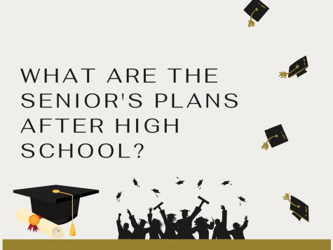 What Are the Seniors Plans After High School?