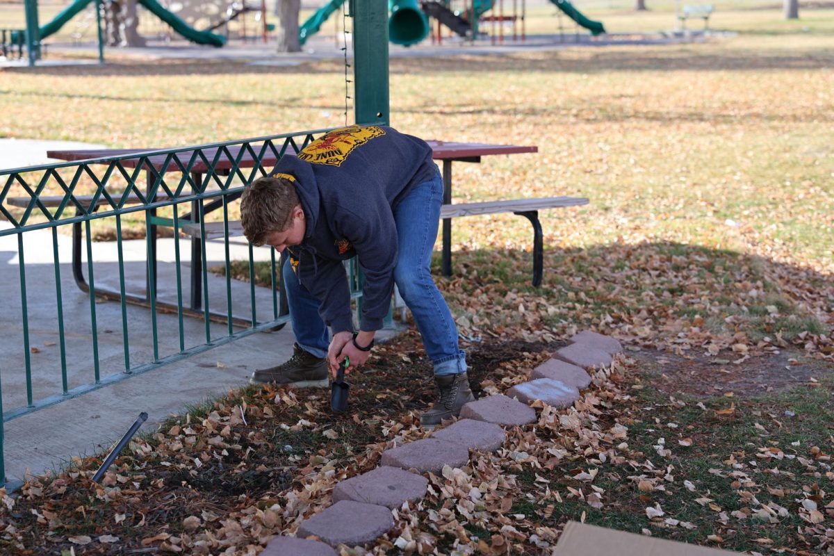 Payton Yates planting a tulip bulb for red ribbon week on December 9, 2023