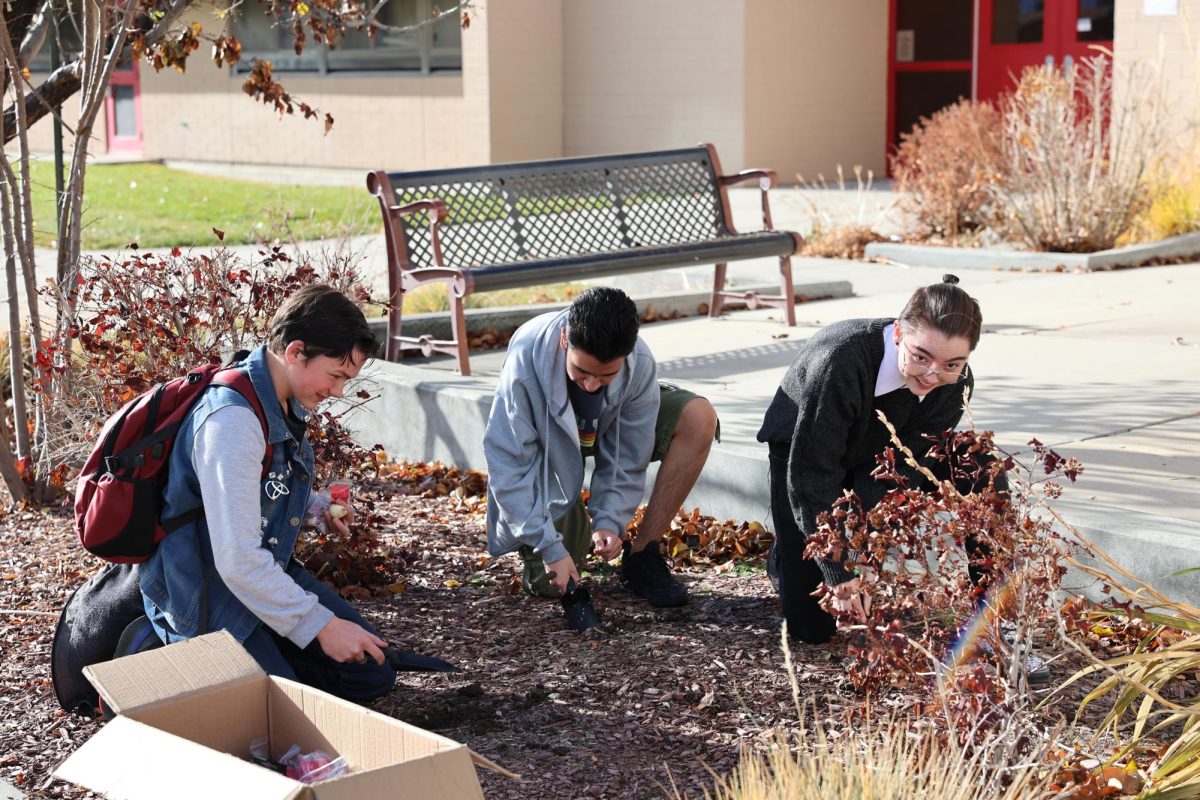 A group of students planting tulip bulbs for red ribbon week on December 9, 2023