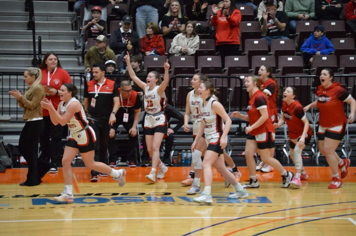 Girls basketball team cheering on their players at the state game on 2/23/24.