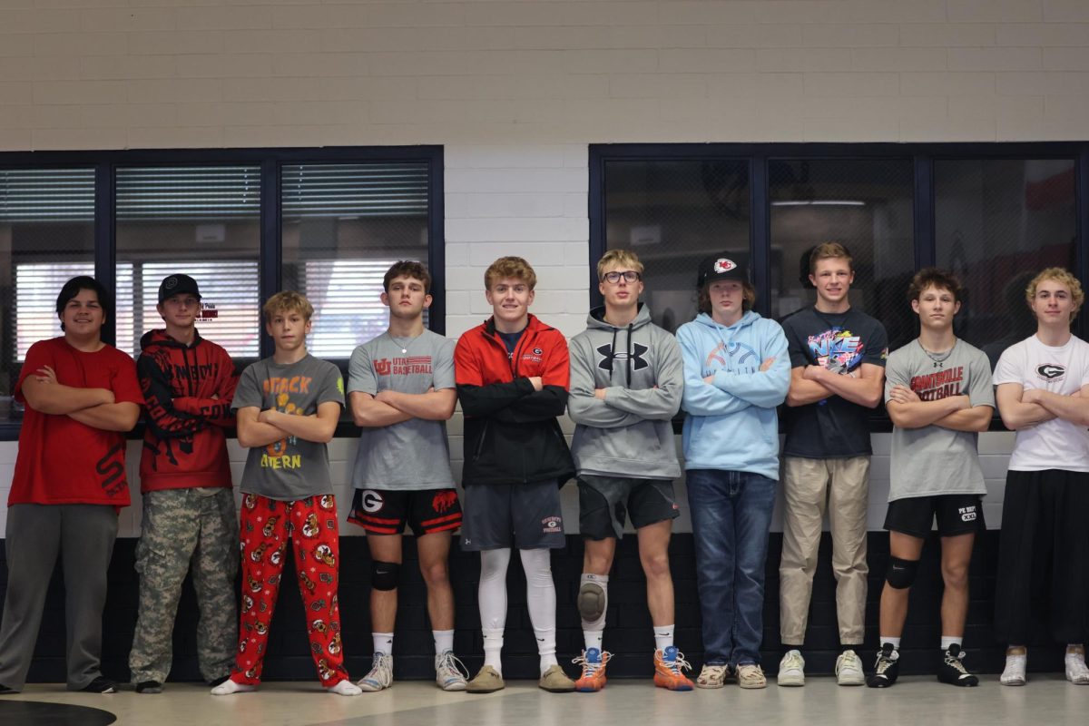 Wrestling state boy qualifiers 2/8 at GHS