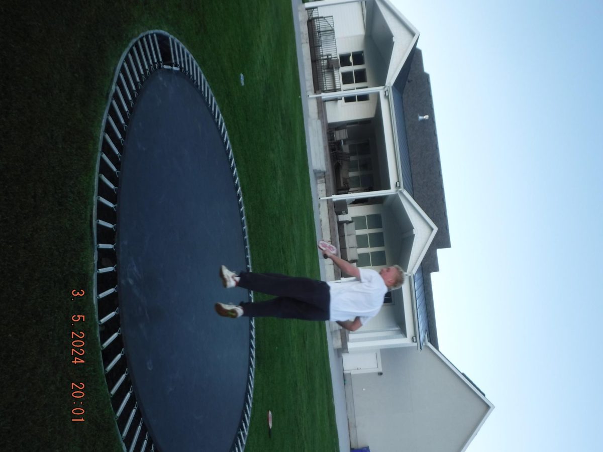 Jumping on the tramp during a beautiful spring evening.